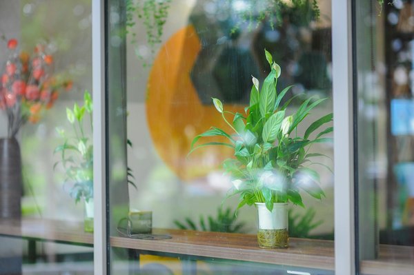 Effets spectaculaires avec glace carbonique en cocktails